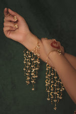 Load image into Gallery viewer, Chand Jhalar