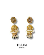 Load image into Gallery viewer, SAANJH