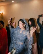 Load image into Gallery viewer, Dilruba in Silver
