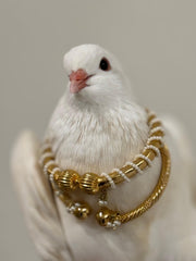 Son Chiraiya Ratna Moti Karha I