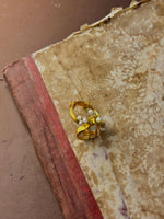Load image into Gallery viewer, Son Chiraiya Chandani Ring
