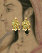 Load image into Gallery viewer, Pakeezah Gulbahar Set