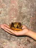 Load image into Gallery viewer, Naqaashi Mini Batwa
