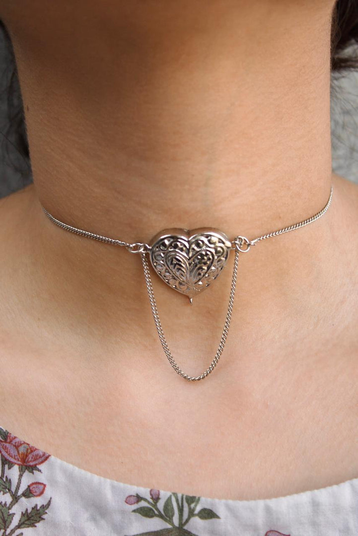 Dilruba in Silver
