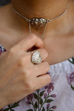 Load image into Gallery viewer, Dilruba in Silver
